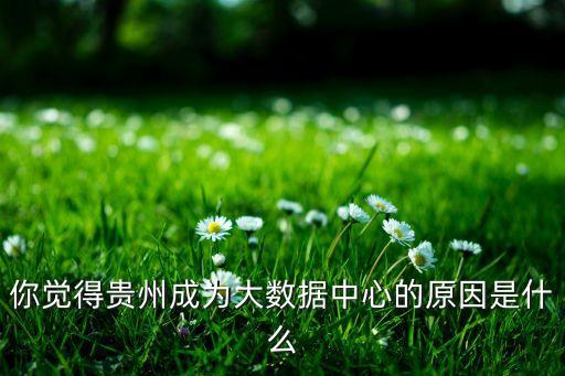 你覺得貴州成為大數(shù)據(jù)中心的原因是什么