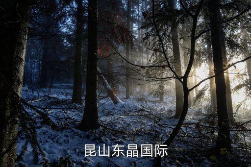 昆山東晶國際