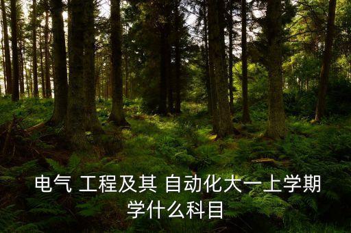  電氣 工程及其 自動(dòng)化大一上學(xué)期學(xué)什么科目