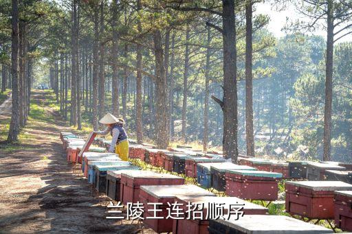 蘭陵王連招順序