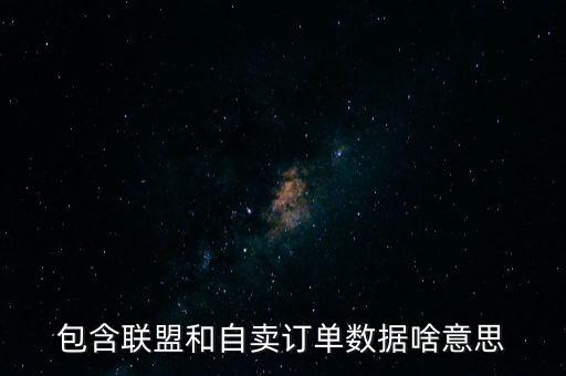 包含聯(lián)盟和自賣訂單數(shù)據(jù)啥意思