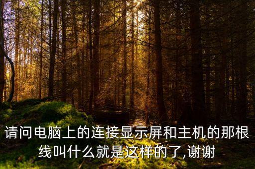 電腦顯示器數(shù)據(jù)線序,電腦連接顯示器那條數(shù)據(jù)線叫什么?
