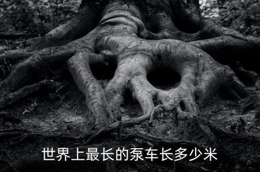世界上最長的泵車長多少米