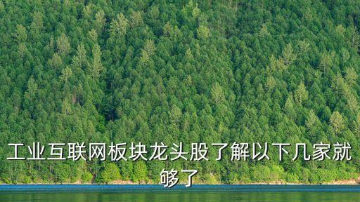 互聯(lián)網(wǎng) 大數(shù)據(jù) 股,那些互聯(lián)網(wǎng)概念股有哪些?