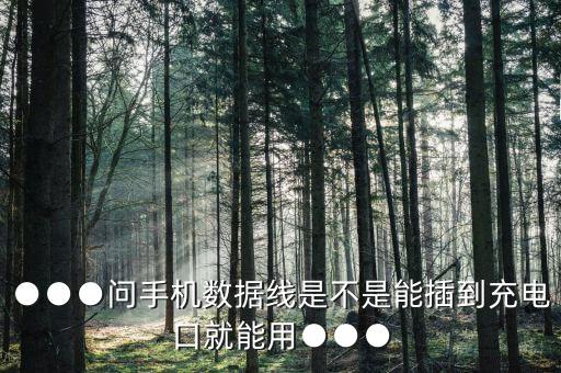 ●●●問手機數(shù)據(jù)線是不是能插到充電口就能用●●●