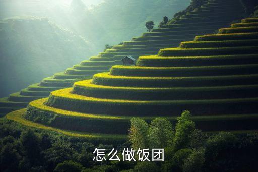糯米飯團自動化設(shè)備,糯米飯團怎么做?
