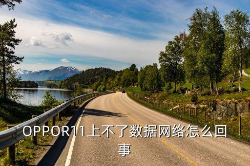OPPOR11上不了數(shù)據(jù)網(wǎng)絡怎么回事