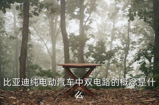 比亞迪純電動汽車中雙電路的概念是什么
