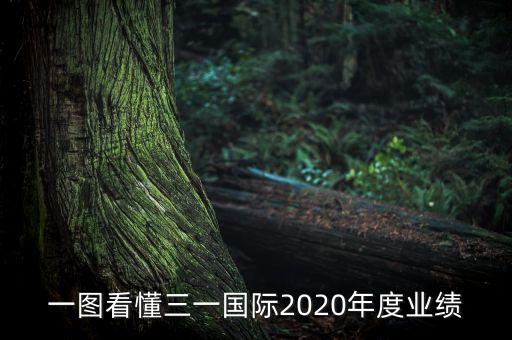 一圖看懂三一國際2020年度業(yè)績