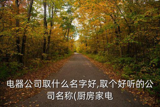 電器公司取什么名字好,取個(gè)好聽(tīng)的公司名稱(廚房家電