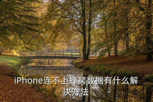 iPhone連不上蜂窩數(shù)據(jù)有什么解決方法