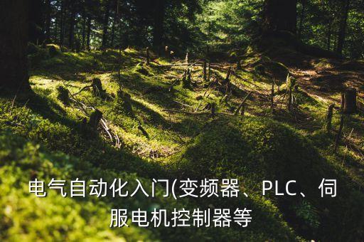 電氣自動(dòng)化入門(mén)(變頻器、PLC、伺服電機(jī)控制器等