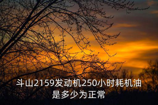 斗山2159發(fā)動(dòng)機(jī)250小時(shí)耗機(jī)油是多少為正常