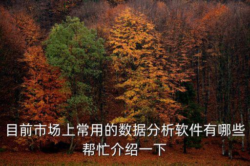 目前市場(chǎng)上常用的數(shù)據(jù)分析軟件有哪些幫忙介紹一下