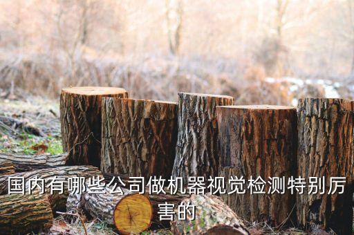 國(guó)內(nèi)有哪些公司做機(jī)器視覺檢測(cè)特別厲害的
