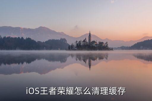 iOS王者榮耀怎么清理緩存
