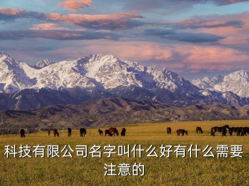 科技有限公司名字叫什么好有什么需要注意的