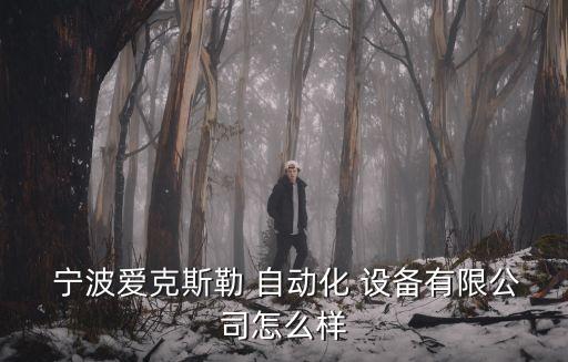 寧波自動(dòng)化設(shè)備供應(yīng)商,生產(chǎn)連接器的自動(dòng)化設(shè)備供應(yīng)商