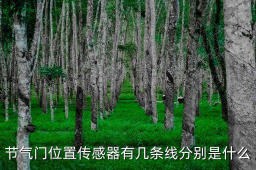 節(jié)氣門位置傳感器有幾條線分別是什么