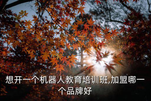 想開一個(gè)機(jī)器人教育培訓(xùn)班,加盟哪一個(gè)品牌好