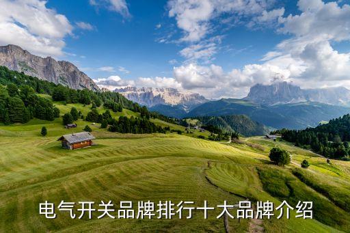 電氣開關(guān)品牌排行十大品牌介紹