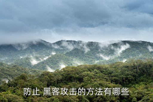防止 黑客攻擊的方法有哪些