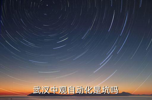 武漢中觀自動化是坑嗎