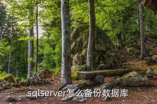 sqlserver怎么備份數(shù)據(jù)庫