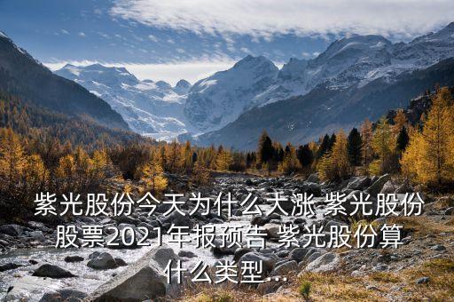  紫光股份今天為什么大漲 紫光股份 股票2021年報預(yù)告 紫光股份算什么類型...
