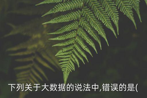 下列關于大數(shù)據的說法中,錯誤的是(