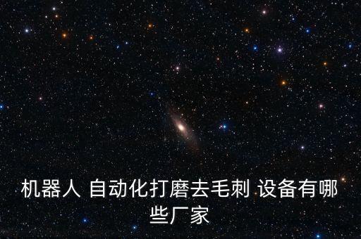 機(jī)器人 自動(dòng)化打磨去毛刺 設(shè)備有哪些廠家