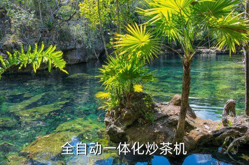 全自動一體化炒茶機(jī)
