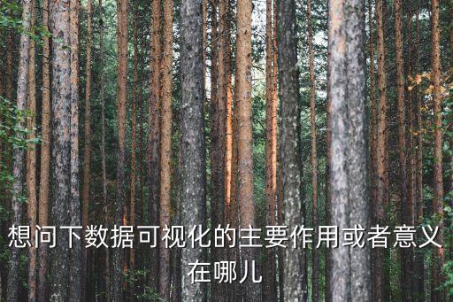 想問(wèn)下數(shù)據(jù)可視化的主要作用或者意義在哪兒