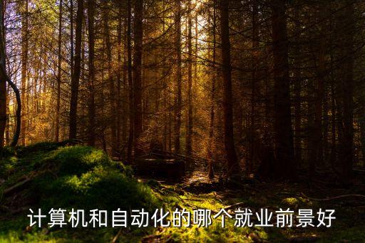 數據庫自動化專業(yè)就業(yè),電氣自動化專業(yè)與計算機專業(yè)優(yōu)勢互補