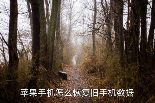 數(shù)據(jù)恢復(fù) iphone,iphone抹掉數(shù)據(jù)能恢復(fù)嗎?