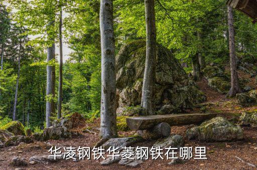 冷鐓機(jī)工業(yè)自動(dòng)化有限公司,冷墩機(jī)多工位自動(dòng)冷機(jī)概述如下