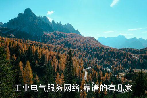 工業(yè)電氣服務(wù)網(wǎng)絡(luò),靠譜的有幾家