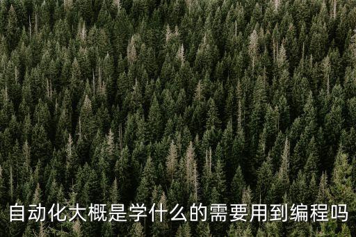 自動化大概是學(xué)什么的需要用到編程嗎