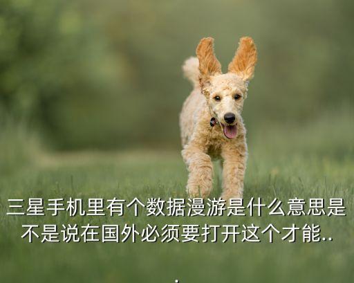 三星手機(jī)里有個(gè)數(shù)據(jù)漫游是什么意思是不是說(shuō)在國(guó)外必須要打開(kāi)這個(gè)才能...