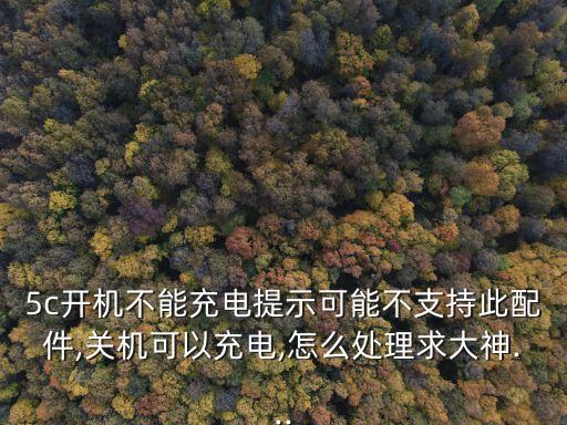 品勝蘋果5c數(shù)據(jù)線,蘋果5c數(shù)據(jù)線充電快多了?