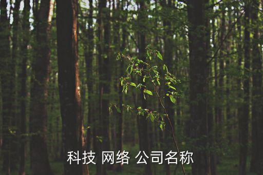 科技 網(wǎng)絡(luò) 公司名稱