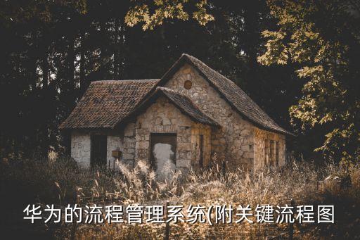 公司自動(dòng)化下單流程圖,華為提倡流程化企業(yè)管理方式