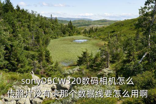 sony數(shù)據(jù)線,數(shù)據(jù)線怎么和電腦連接?