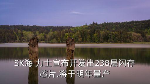 海力士自動化設備