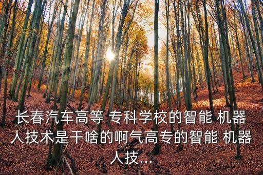 ?？茩C(jī)器人自動(dòng)化專業(yè),機(jī)器人工程是自動(dòng)化專業(yè)嗎