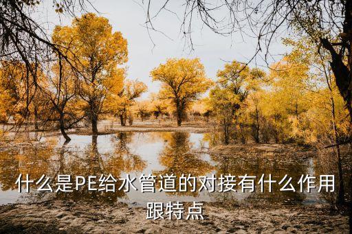 什么是PE給水管道的對接有什么作用跟特點