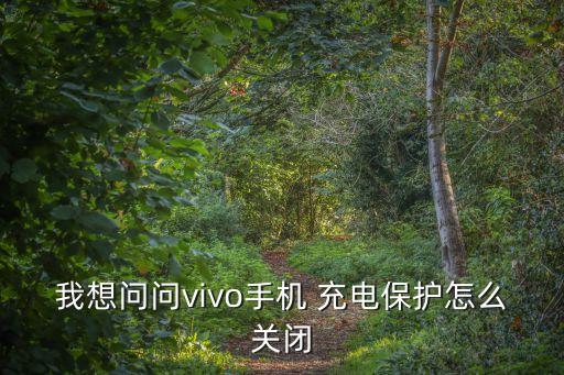 充電保護(hù),什么是充電保護(hù)?vivo充電器有什么用?