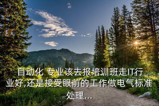  自動化 專業(yè)該去報培訓班走IT行業(yè)好,還是接受眼前的工作做電氣標準處理...