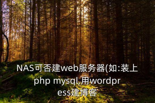 NAS可否建web服務(wù)器(如:裝上php mysql,用wordpress建博客