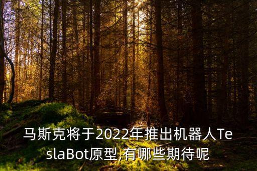 希望 機(jī)器人,智能機(jī)器人什么功能能幫你干什么?